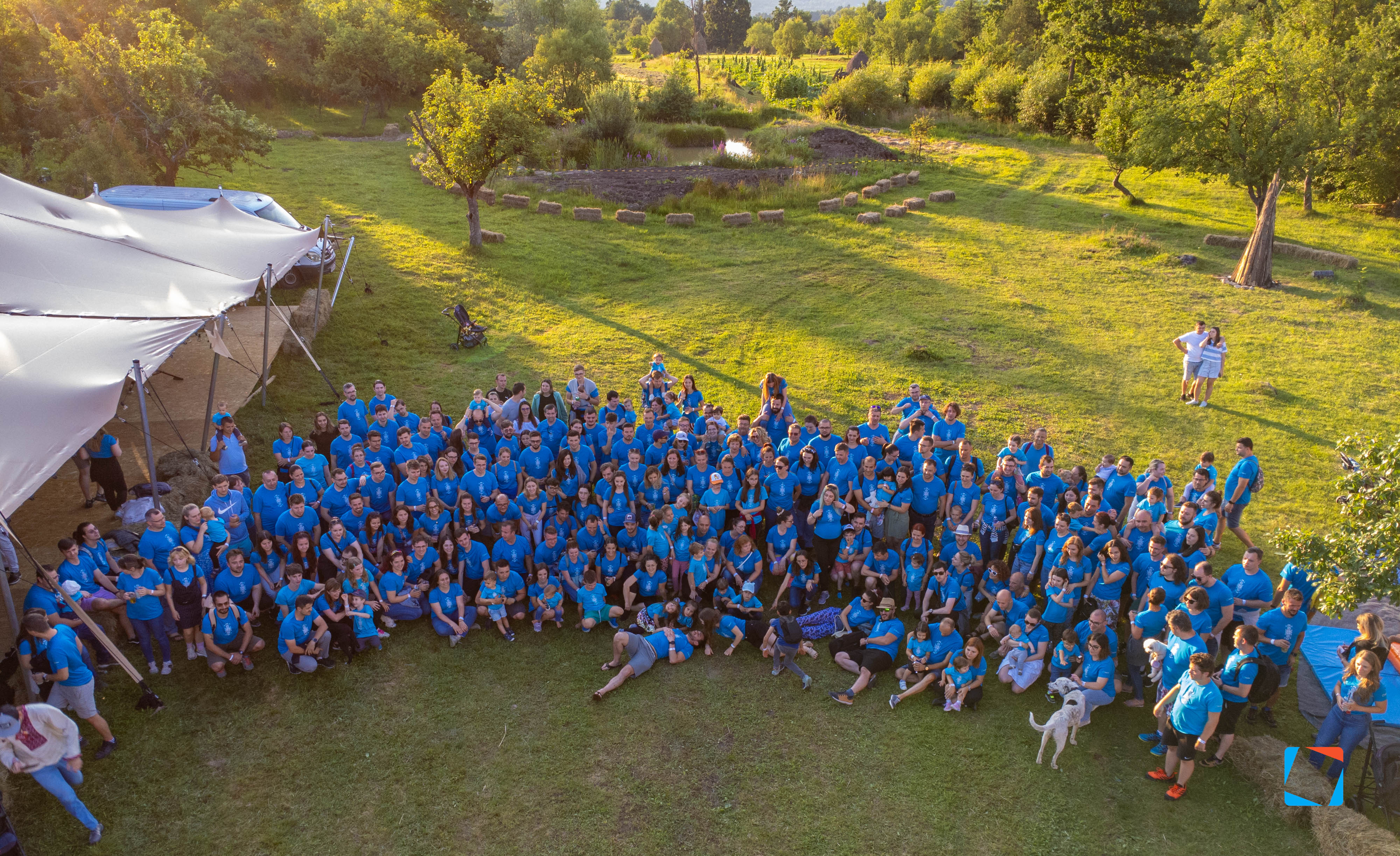 Qubiz team gathered for the yearly company photo on a sunlit summer field